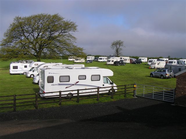 sedgefield2.jpg