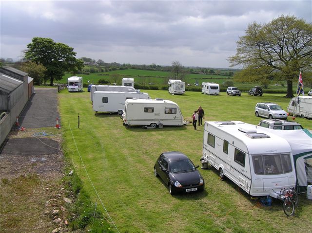 sedgefield4.jpg