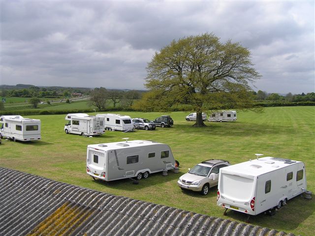 sedgefield8.jpg